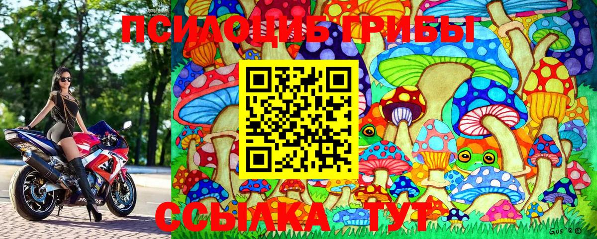 Тула  Псилоцибиновые грибы ЛСД  Псилоцибиновые грибы Cubensis  Вход с VPN 